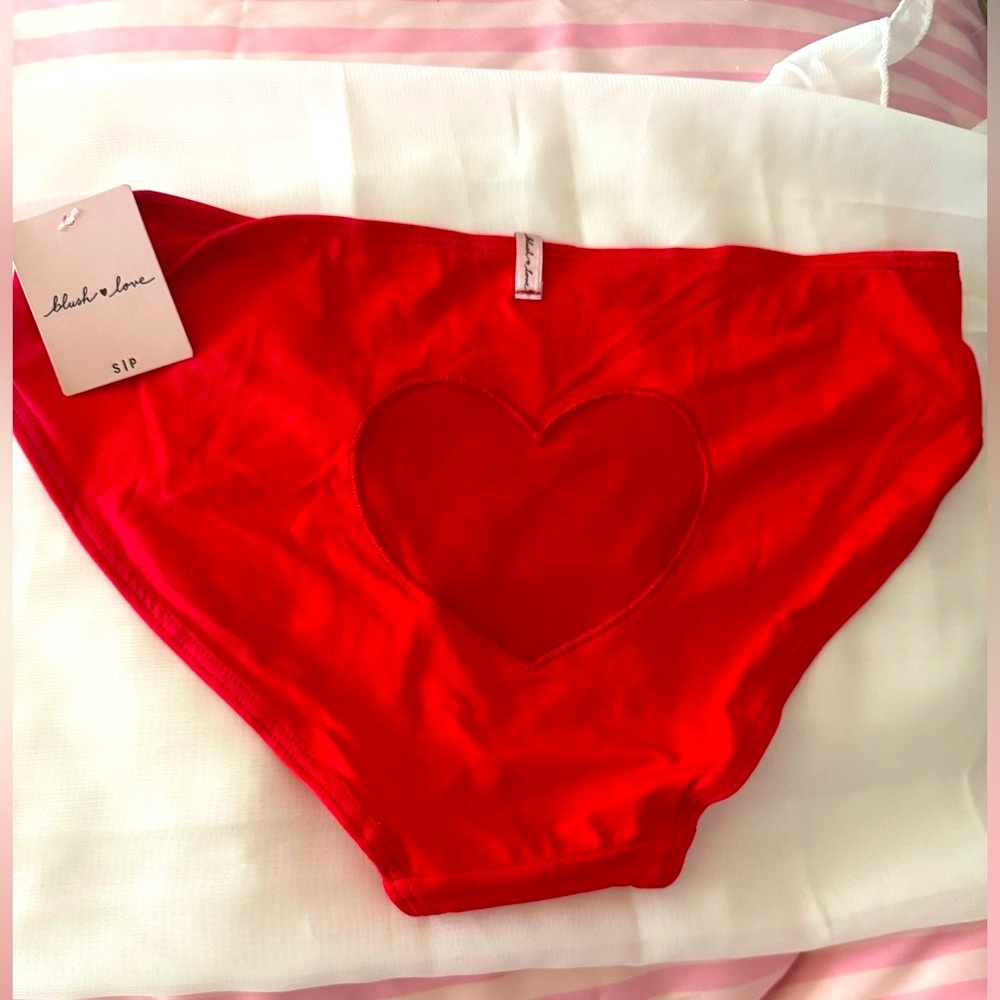 PINK Victoria's Secret Blush ♥️ Love Red Heart mesh Panty - NWT - Size S